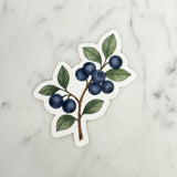 Blueberry Branch Sticker