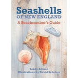 Seashells of New England